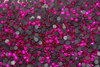 1000 Strass Thermocollant (ss6) Rose Intense